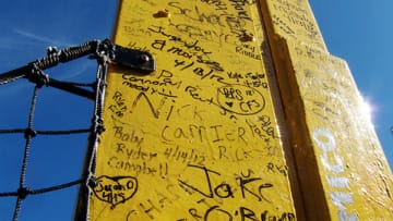 Baseball Taught Me Something: Fan Traditions Across the American League