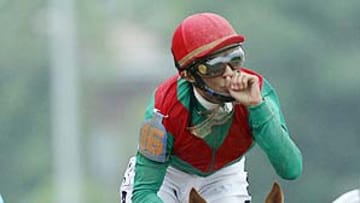 Animal Kingdom looks like horse to beat at the 136th Preakness