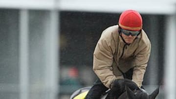 Archarcharch among best bets in wide-open Kentucky Derby Field