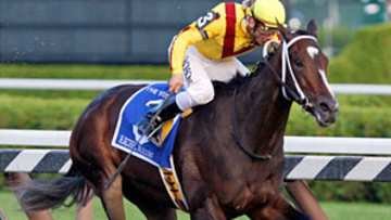 My Sportsman: Rachel Alexandra and Zenyatta