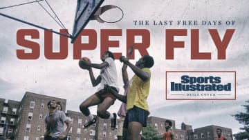 When Fly Got Swatted