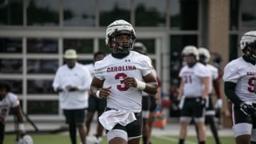 How South Carolina's Young Defensive Linemen Fit In The Gamecock Defense