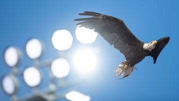 A War-Eagle welcome for #1 LSU baseball when it visits Auburn this Saturday