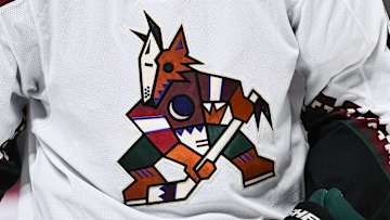 NHL Fan Has Part of Finger Bitten Off in Arizona Arena Brawl