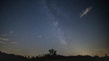 Kansas Jayhawks Player Ratings to the Theme of Little Things