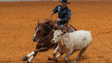 Big Stops, Stellar Spins, Cow Sense: The Reined Cow Horses of The American Performance Horseman