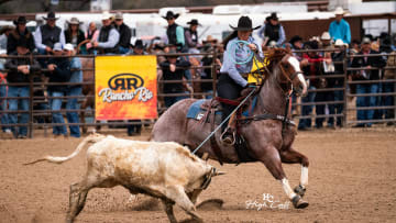 Wilson Cattle Co. Rakes in $180,000 with High-Seller at Rancho Rio Horse Sale