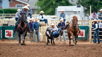 Steer Wrestler Justin Shaffer Wins All At Texas Circuit Finals