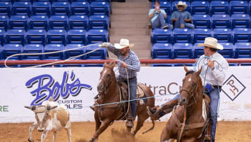 Paints That Dominate