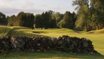 Of Hoot, Toot and Heathlands