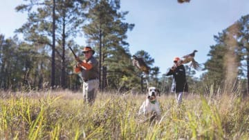 Brays Island Plantation's bustling backyard