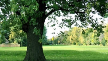 Golf Course Review: Canal Shores Golf Course | 8.0 Score