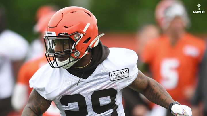 Duke Johnson hires Drew Rosenhaus, which could work, so long as he stays doesn't give up control