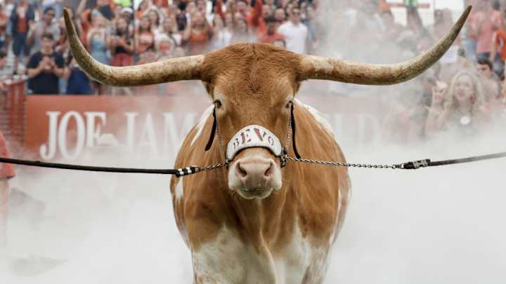 Texas Officials Defend Safety Measures After Bevo Incident at Sugar Bowl Texas Officials Defend Safety Measures After Bevo Incident at Sugar Bowl