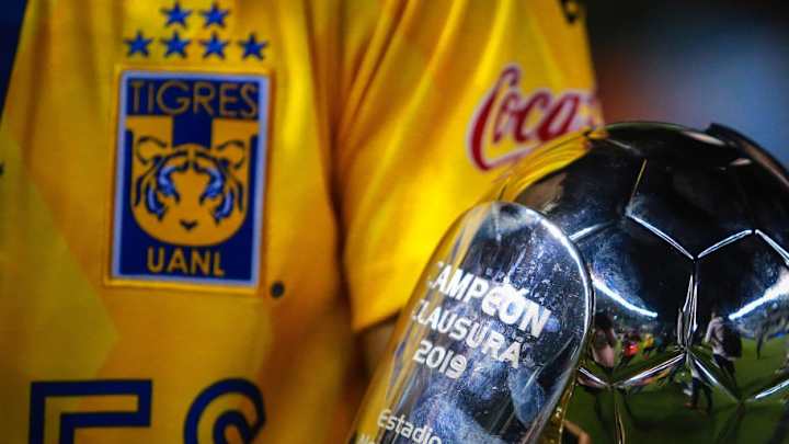 Si Tigres no es grande, ser grande ya no importa