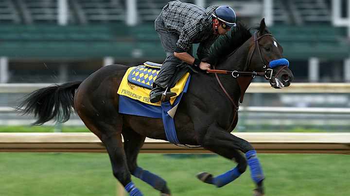 American Pharoah's Father, Pioneerof the Nile, Dies at 13