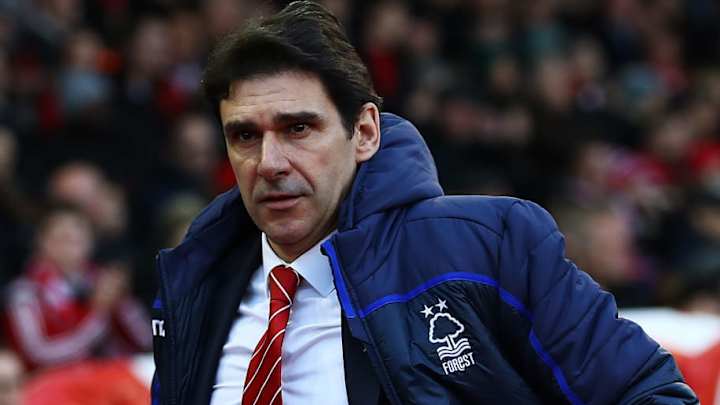Nottingham Forest Announce Manager Aitor Karanka Has Left the Club