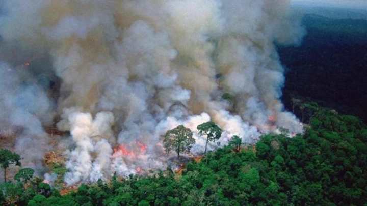 Los mensajes de los futbolistas por la tragedia del Amazonas