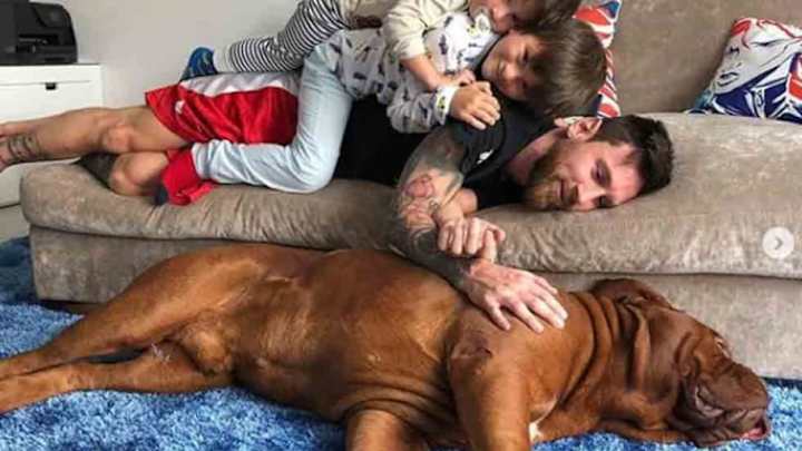 VÍDEO | El gracioso rondo de Leo Messi con sus hijos y su perro Hulk