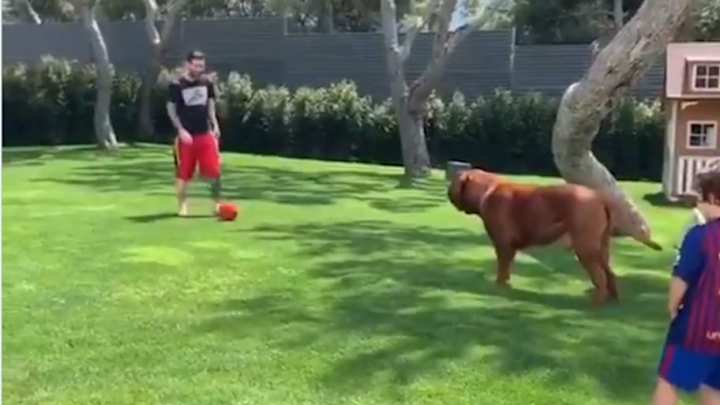 Watch: Messi, Sons Play Keepaway From Their Massive Dog