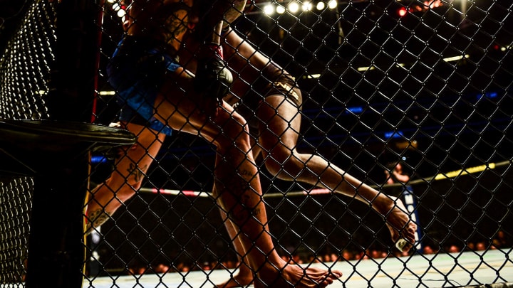 UFC 235: Jon Jones vs. Anthony Smith