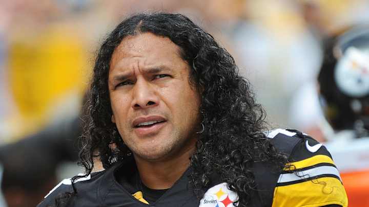 Troy Polamalu, Reggie Wayne Among First-Time Pro Football Hall of Fame Nominees