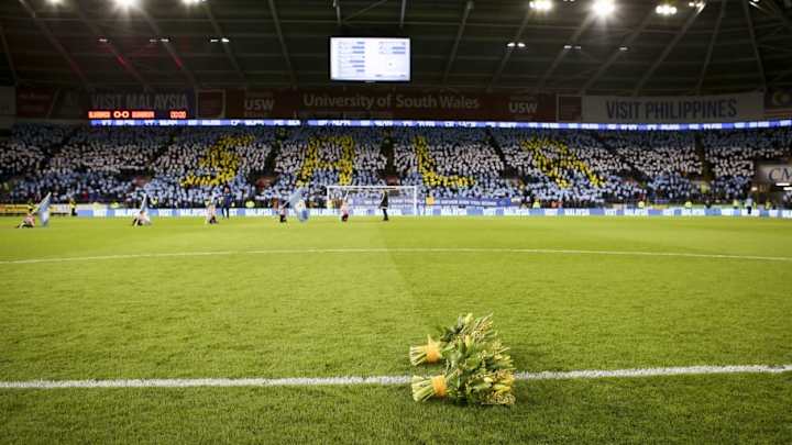 Body Recovered in Search for Missing Cardiff Player Emiliano Sala and Pilot David Ibbotson