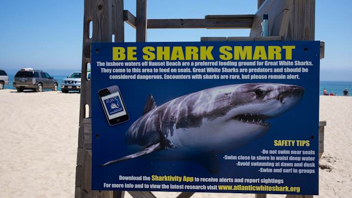 Pro Surfer Chooses Beachside Bar Over Hospital Following Shark Attack Pro Surfer Chooses Beachside Bar Over Hospital Following Shark Attack