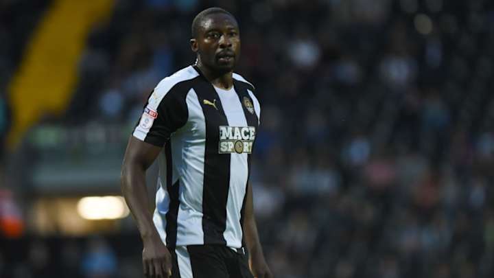 Shola Ameobi Being Considered for Newcastle Academy Role in Club Revamp