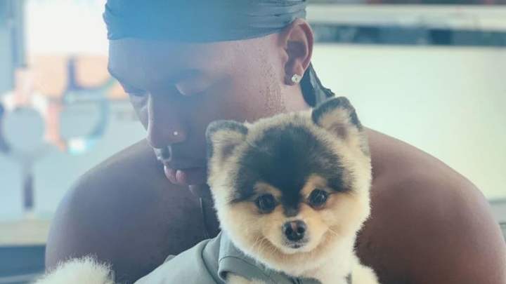 Acusan a Daniel Sturridge por no pagar la recompensa que ofreció por su perro