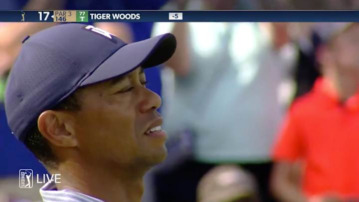 Watch: Tiger Hits Two in Water, Makes Quadruple Bogey 7 on 17 at Players