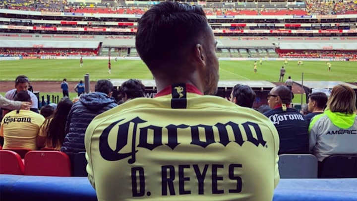 Miguel Herrera habla sobre la posible llegada de Diego Reyes al América