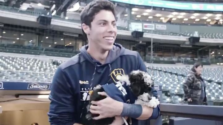 Watch: Family Names Dog 'Yeli' After Christian Yelich Home Run