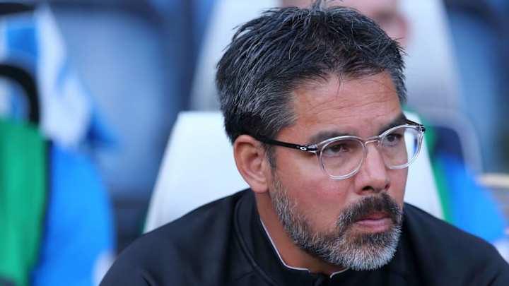 David Wagner Labels Huddersfield's Pitch 'Unacceptable' After Lyon Pre-Season Win