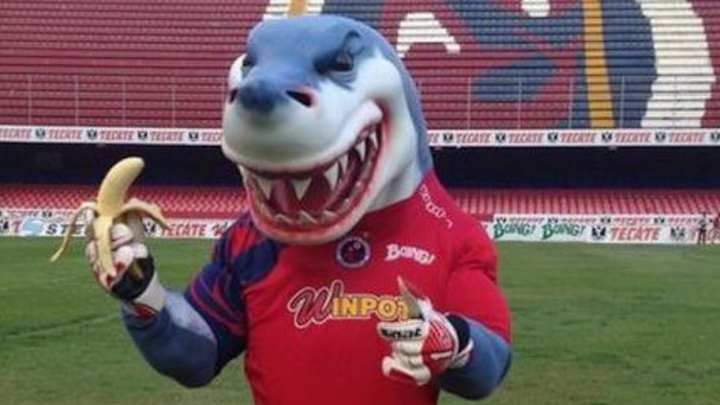 ÍDOLO | Los 7 disfraces más emblemáticos de la mascota de los Tiburones Rojos