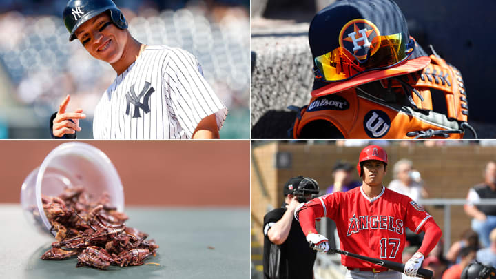 Nine Innings: Finding the Yankees' Evil, Evaluating Ohtani's Woeful Spring and Ranking MLB Food Fest's Best Offerings