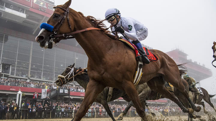 Justify Emerges From the Fog at Preakness to Keep Triple Crown Pursuit Alive