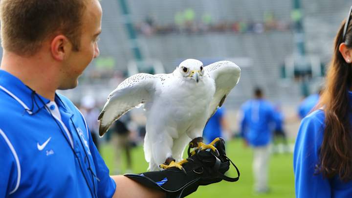 Air Force Mascot Recovering From 'Potentially Life-Threatening Injuries' Sustained in Prank