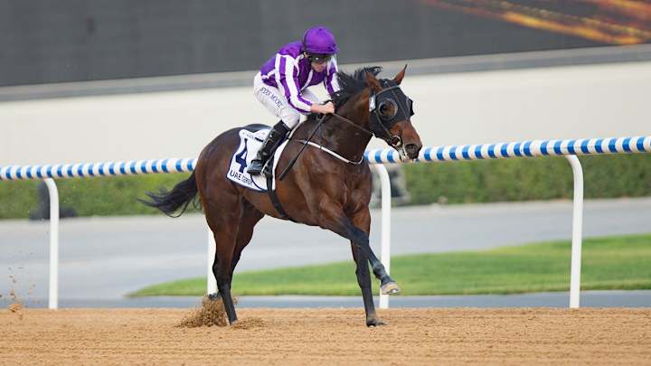 Get to Know Mendelssohn: The Horse Favored to Win the 2018 Kentucky Derby Get to Know Mendelssohn: The Horse Favored to Win the 2018 Kentucky Derby