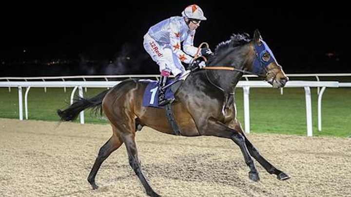 Rob Gronkowski's Horse Given 69–1 Odds to Win the Belmont Stakes