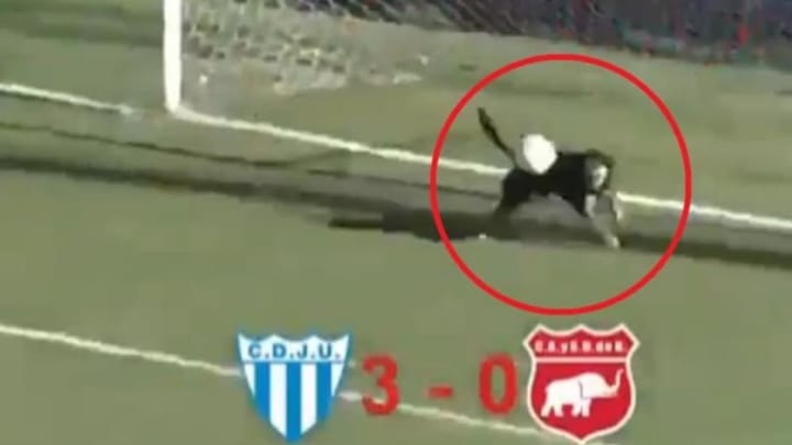 ¡Héroe! | Un perro salva un gol en la línea tras error del portero ¡Héroe! | Un perro salva un gol en la línea tras error del portero