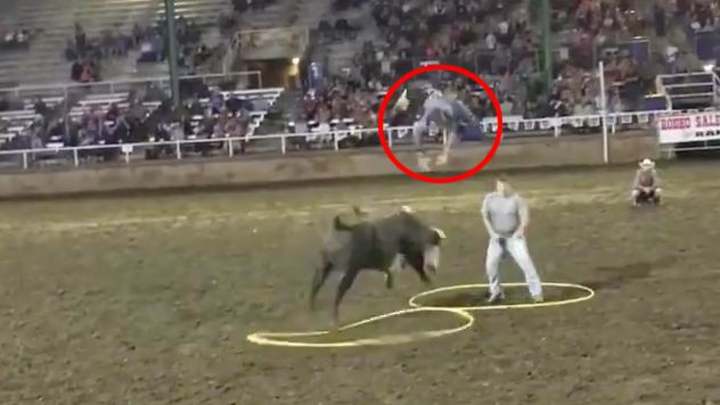 Watch: Bull Tosses Very Brave Idiot Like a Rag Doll Watch: Bull Tosses Very Brave Idiot Like a Rag Doll
