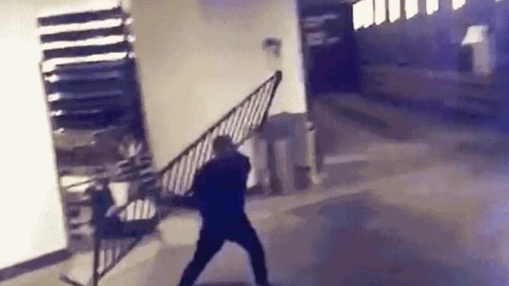 NYPD Investigating After Conor McGregor Involved in Altercation at UFC 223 Media Day