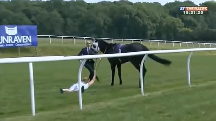 Watch: Reporter Stops Runaway Horse by Holding on for Dear Life