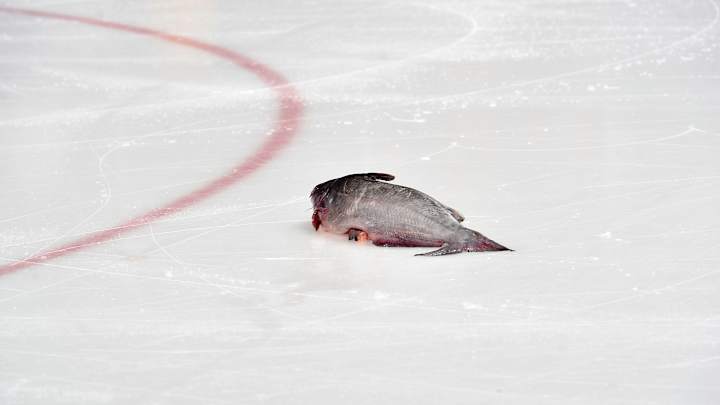 An Angry Predators Fan Mailed the NHL Office Some Catfish