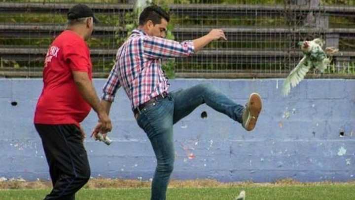 INSÓLITO | Club uruguayo sancionado por agresión a gallinas