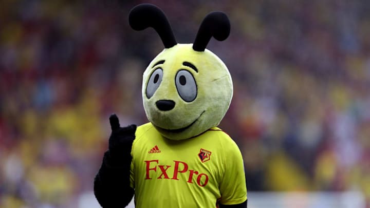 Harry the Hornet Looks to Wind Up Roy Hodgson by Performing Some More Questionable Antics