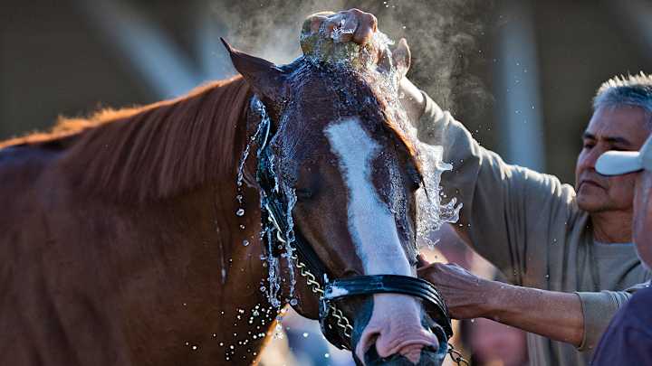 2018 Kentucky Derby Odds: Favorites, Contenders, Betting Lines 2018 Kentucky Derby Odds: Favorites, Contenders, Betting Lines