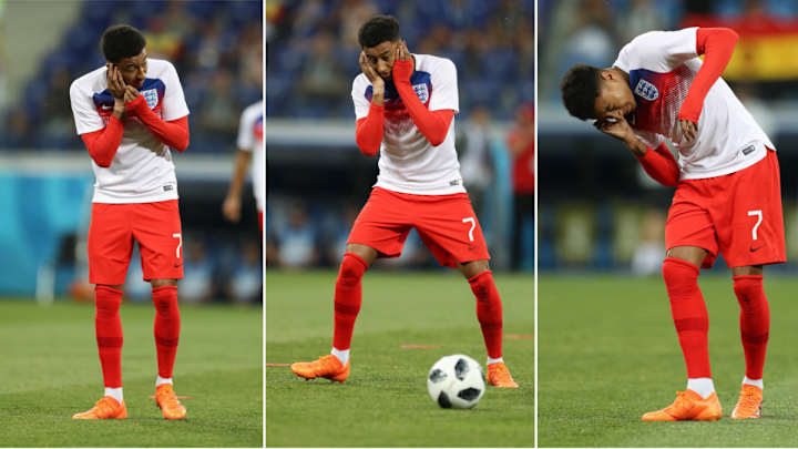 England-Tunisia World Cup Game Overrun by Swarms of Insects