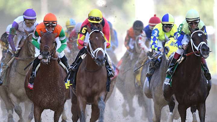 Get to Know Justify: The Horse Favored to Win the 2018 Kentucky Derby